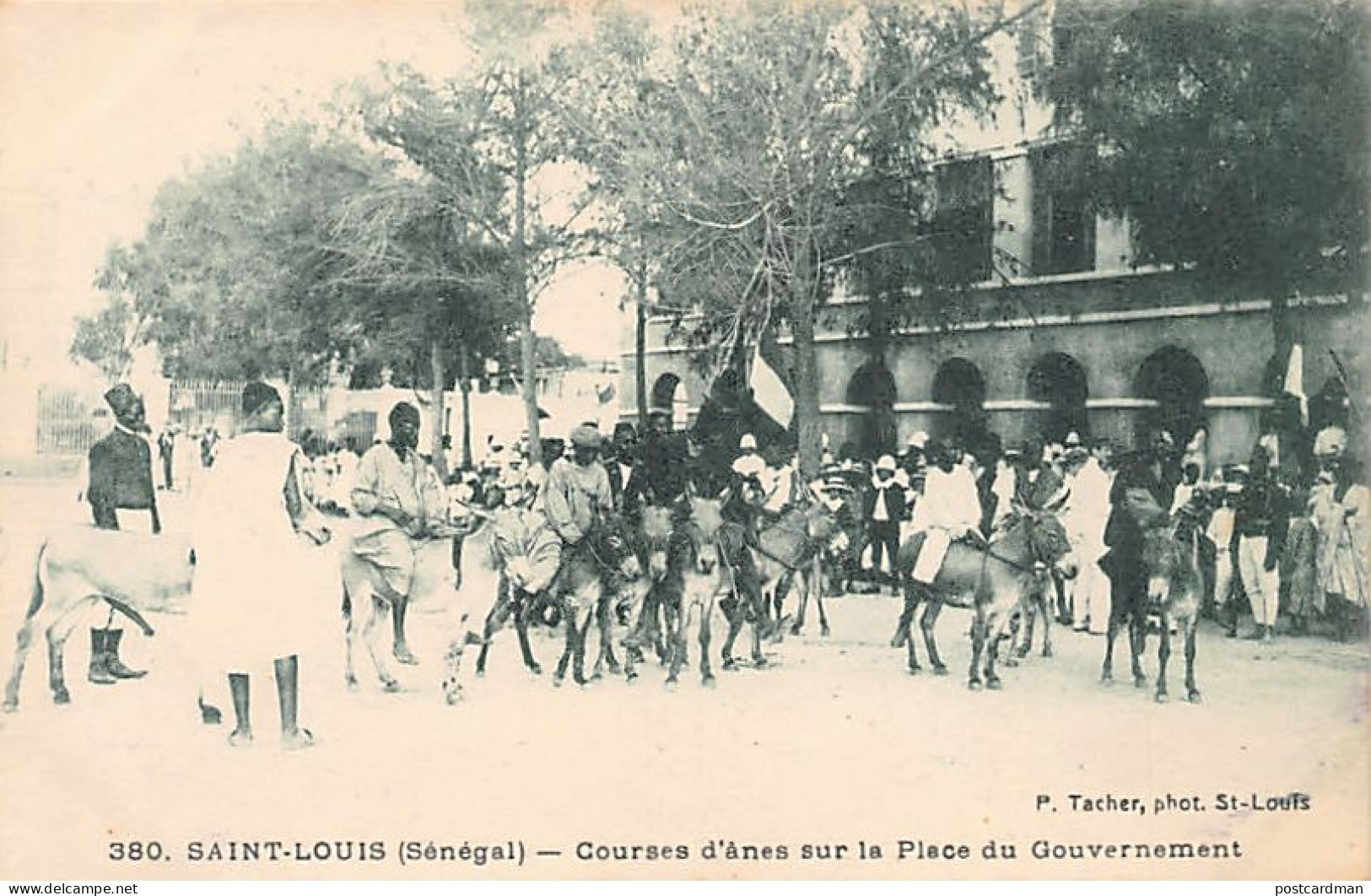Sénégal - SAINT-LOUIS - Courses D'ânes Sur La Place Du Gouvernement - Ed. P. Tacher 380 - Sénégal