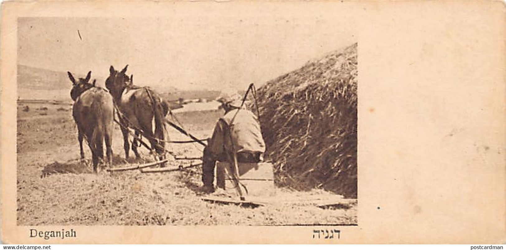 Israel - DEGANIA ALEF - Harvester - Kibbutz - Publ. Unknown  - Israel