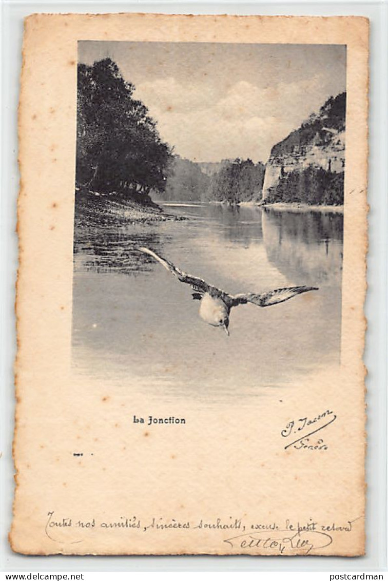 Suisse - Genève - La Jonction -Mouette Carte Parchemin Paul Jacom - Ed. Inconnu  - Genève