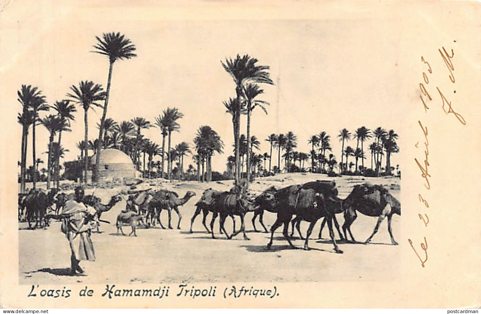 Libya - TRIPOLI - Hamamdji Oasis - Libia