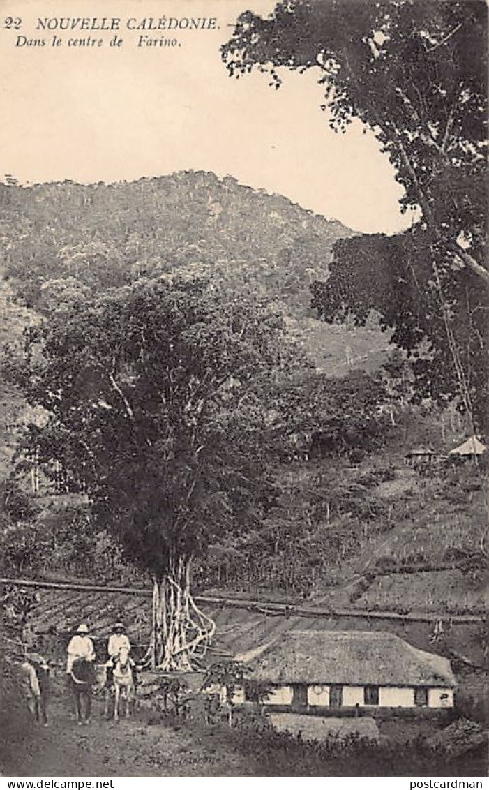 Nouvelle-Calédonie - Dans Le Centre De Farino - Ed. B. & F. 22 - Nouvelle Calédonie