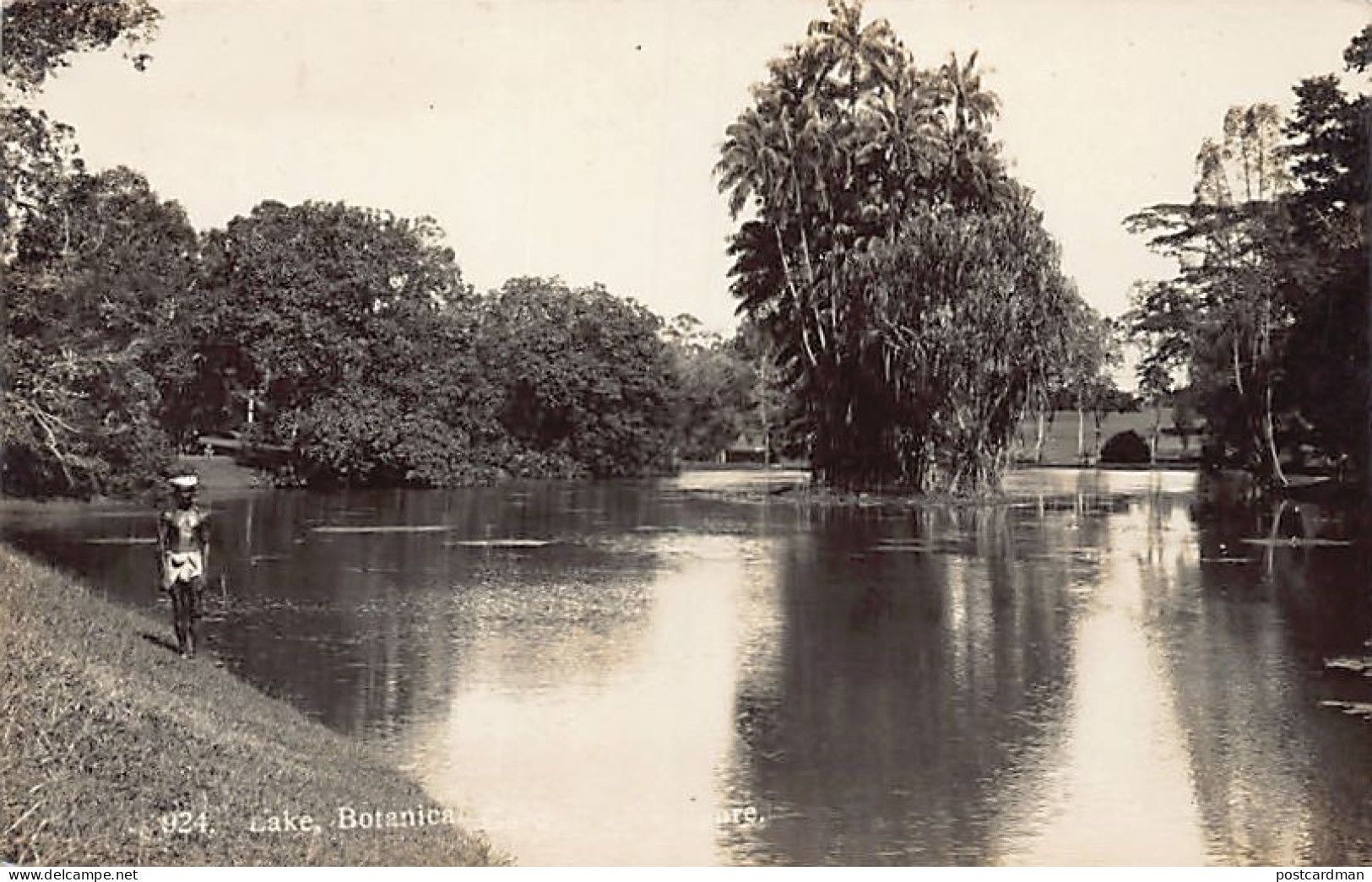 Singapore - Lake In Botanical Garden - REAL PHOTO - Publ. Unknown 924 - Singapour