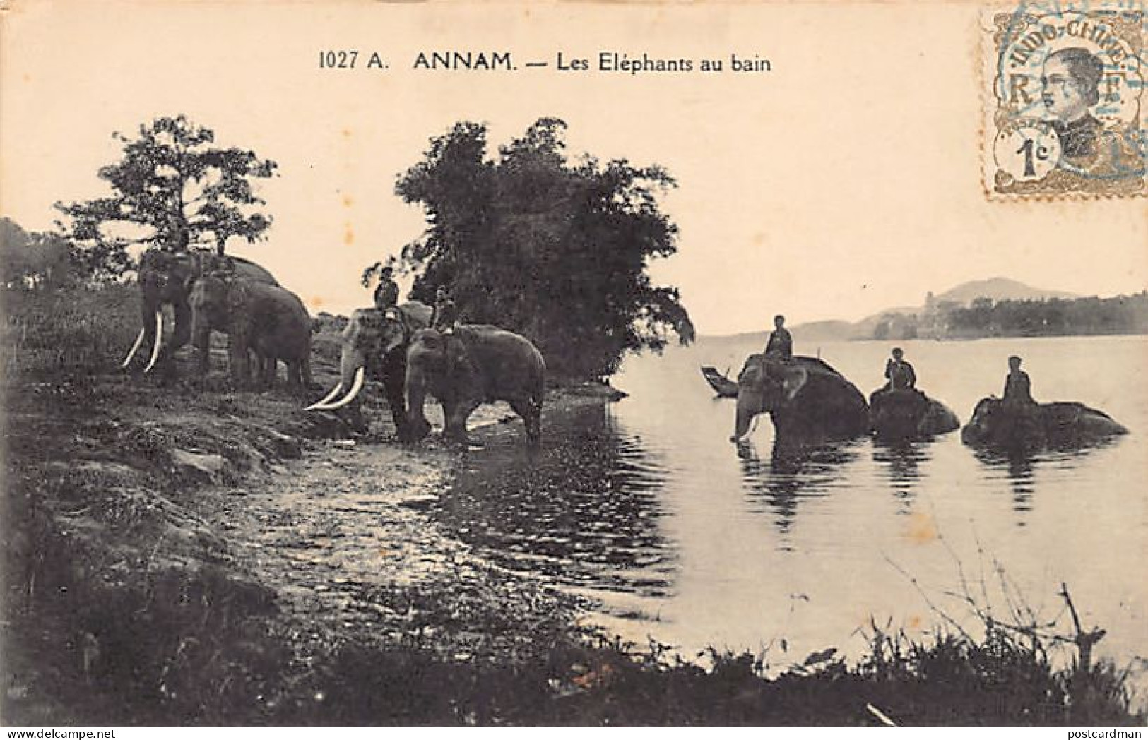 Viet-Nam - ANNAM - Les éléphants Au Bain - Ed. P. Dieulefils 1027A - Vietnam