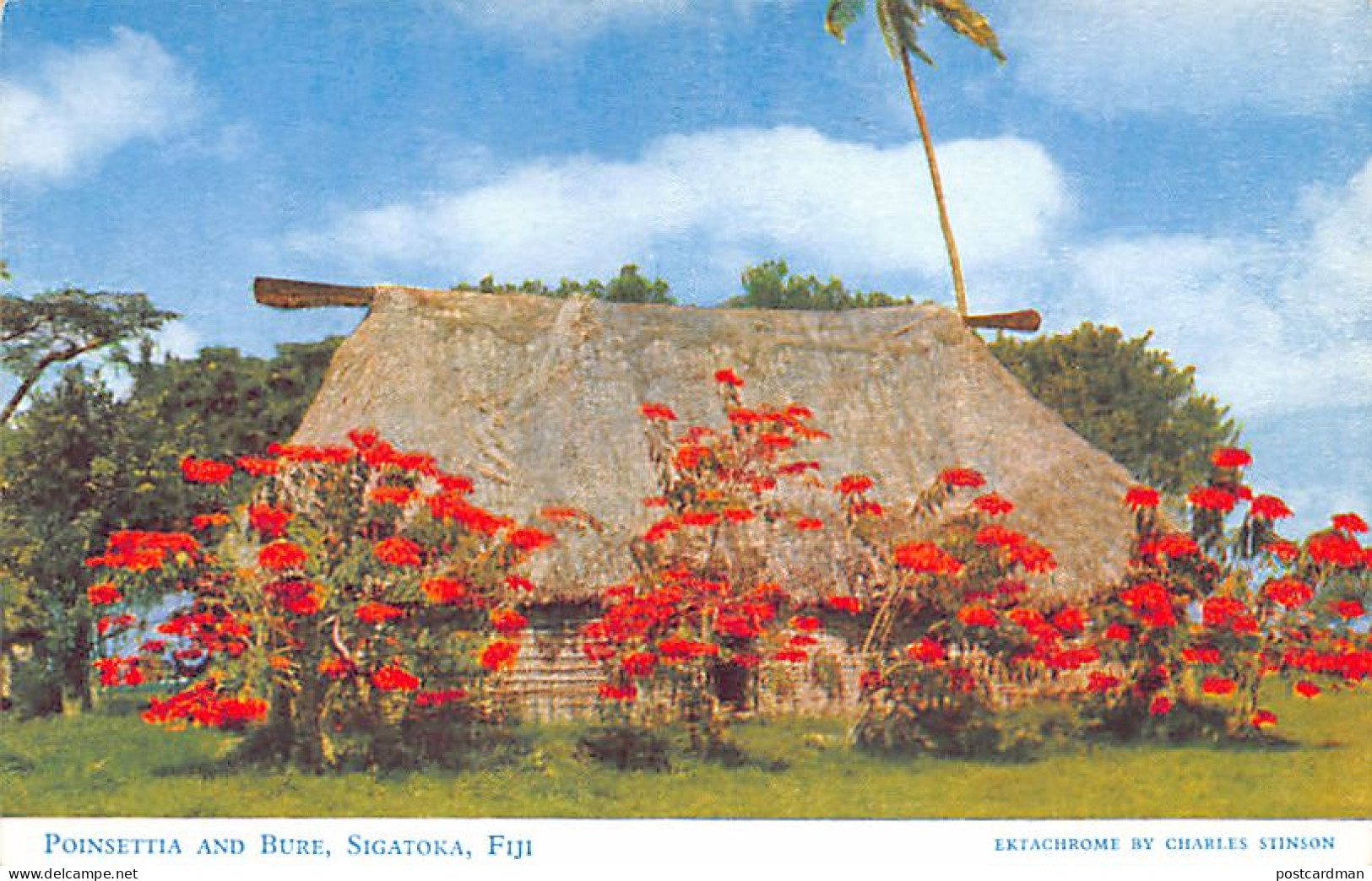 Fiji - SIGATOKA - Poinsettia And Bure - Publ. Charles Stinson 22 - Fidschi