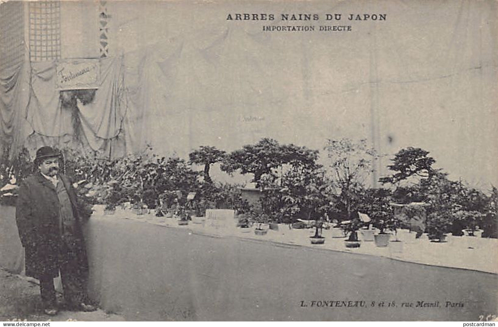 Japan - Bonsai Trees - L. Fonteneau, French Importer Based In Paris (rue Mesnil) - Other & Unclassified