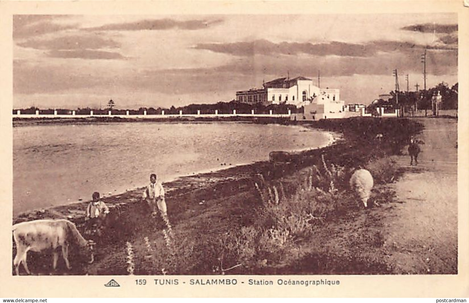 SALAMMBÔ - Station Océanographique - Ed. CAP 159 - Tunisie