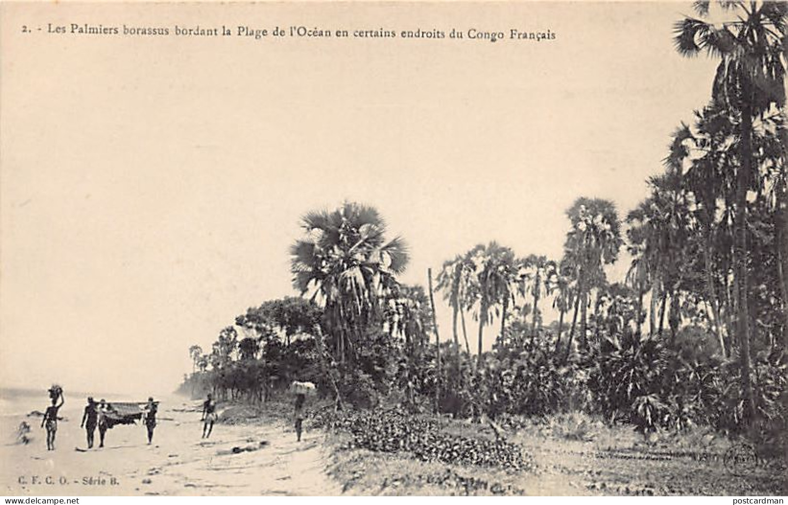 Congo Brazzaville - Les Palmiers Borassus Bordant La Plage De L'Océan En Certains Endroits Du Congo Français - Ed. C.F.C - Altri & Non Classificati