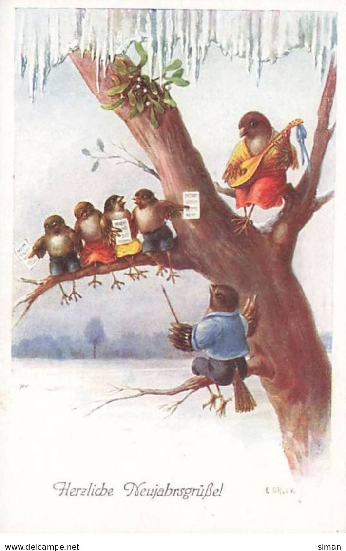 N°23872 - Nouvel An - Öhler - Chorale D'Oiseaux Habillés Répétant Assis Dans Un Arbre - Animali Abbigliati