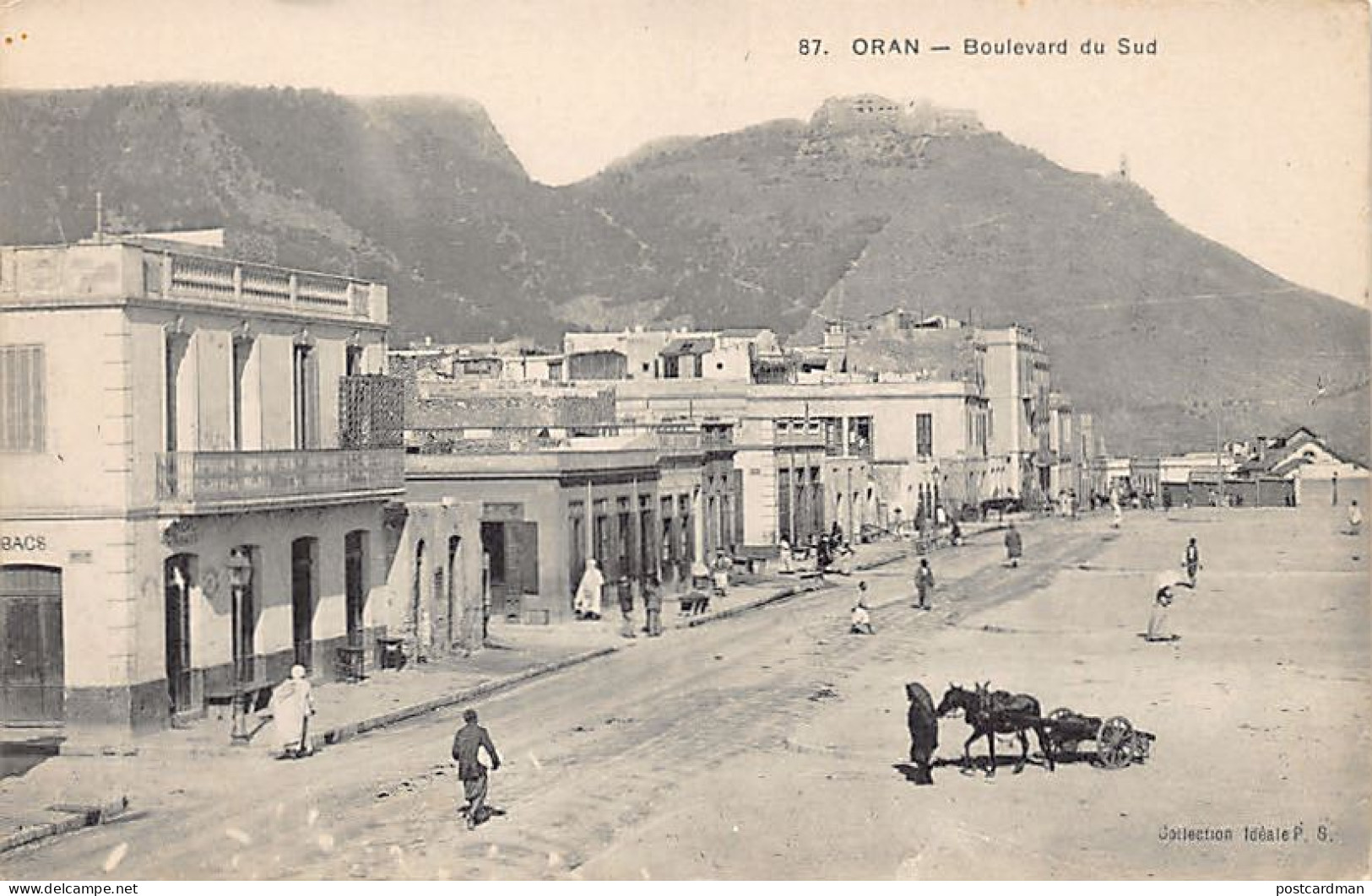 ORAN - Boulevard Du Sud - Oran
