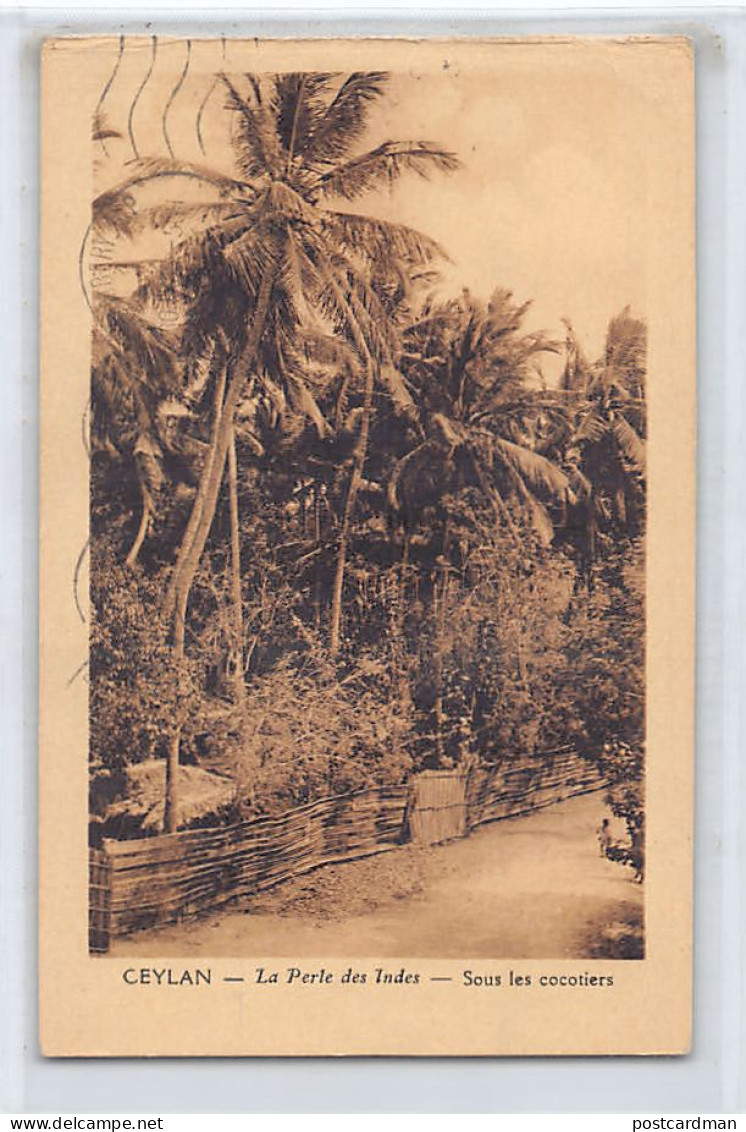 Sri Lanka - Under The Coconut Trees - Publ. Revue Apostolique  - Sri Lanka (Ceylon)