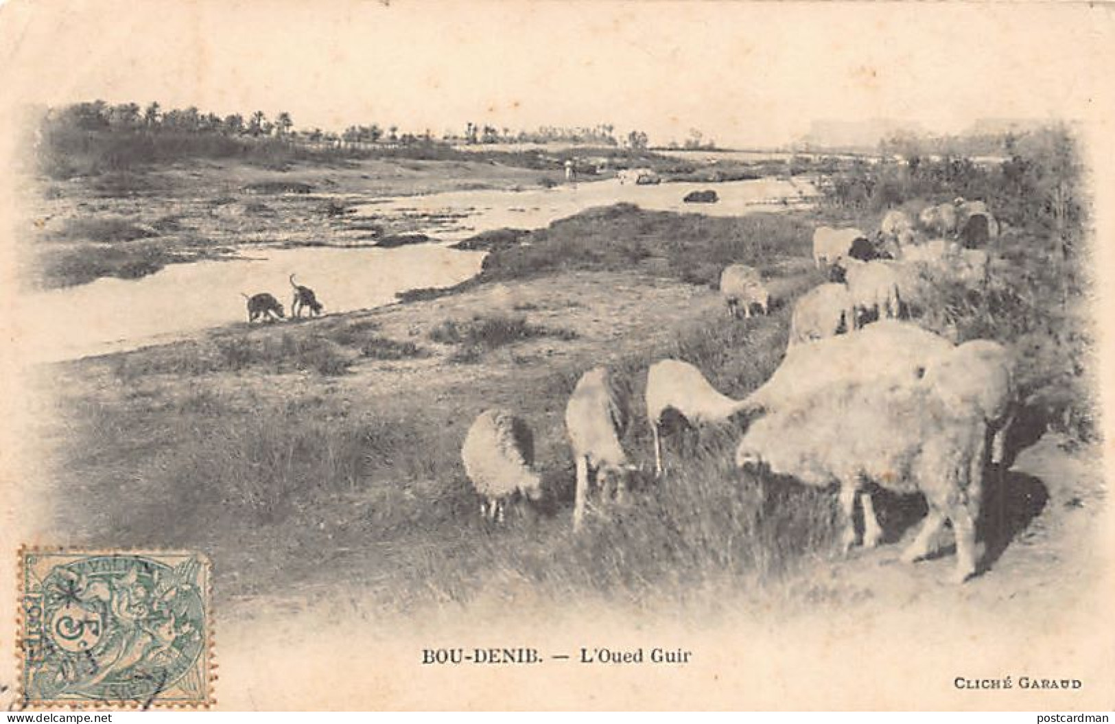 Maroc - BOUDNIB Bou Denib - L'Oued Guir - Moutons - Cliché Garaud - Ed. J. Geiser - Other & Unclassified