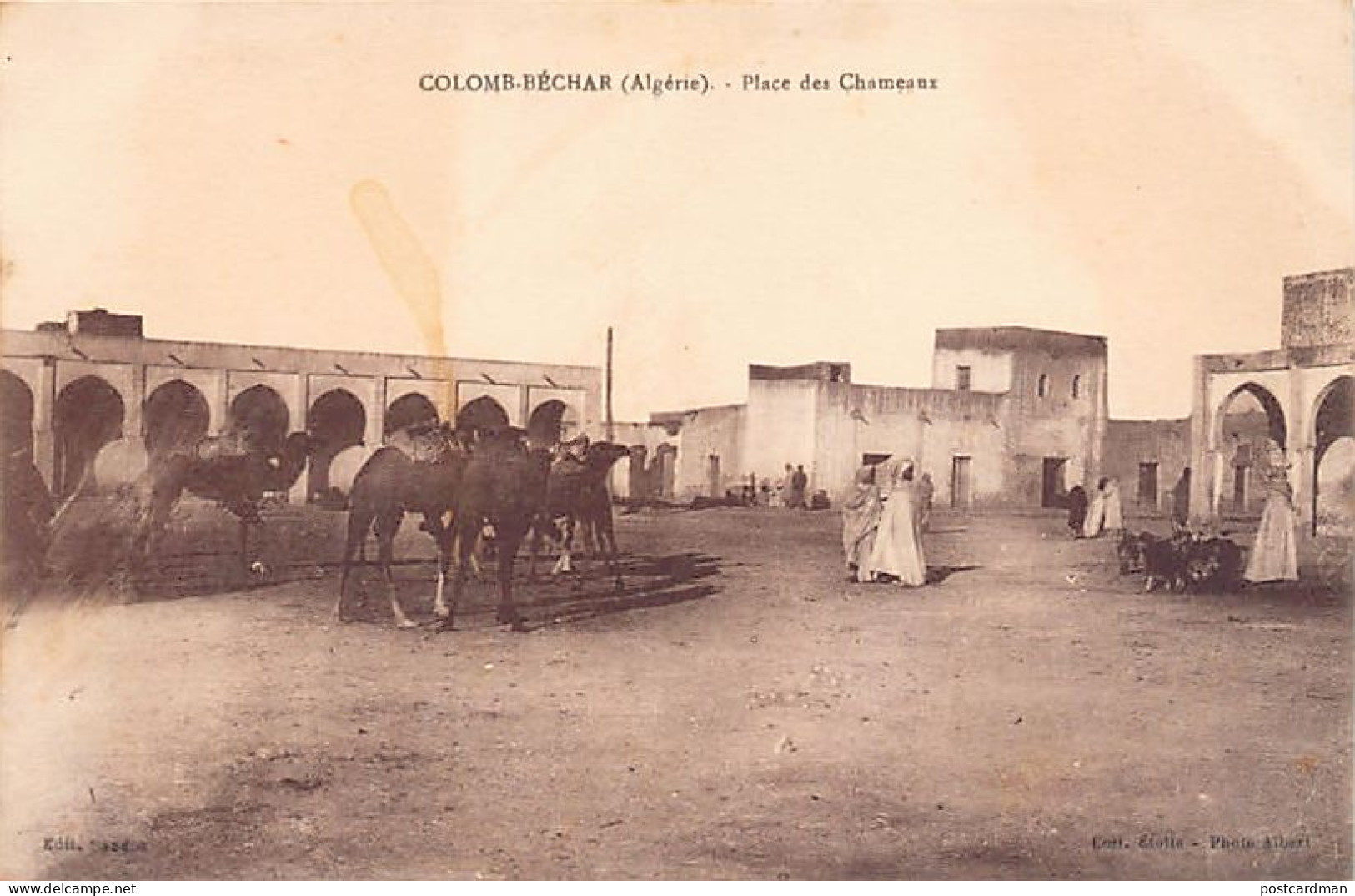 Algérie - COLOMB BÉCHAR - Place Des Chameaux - Ed. Sandoz  - Bechar (Colomb Béchar)