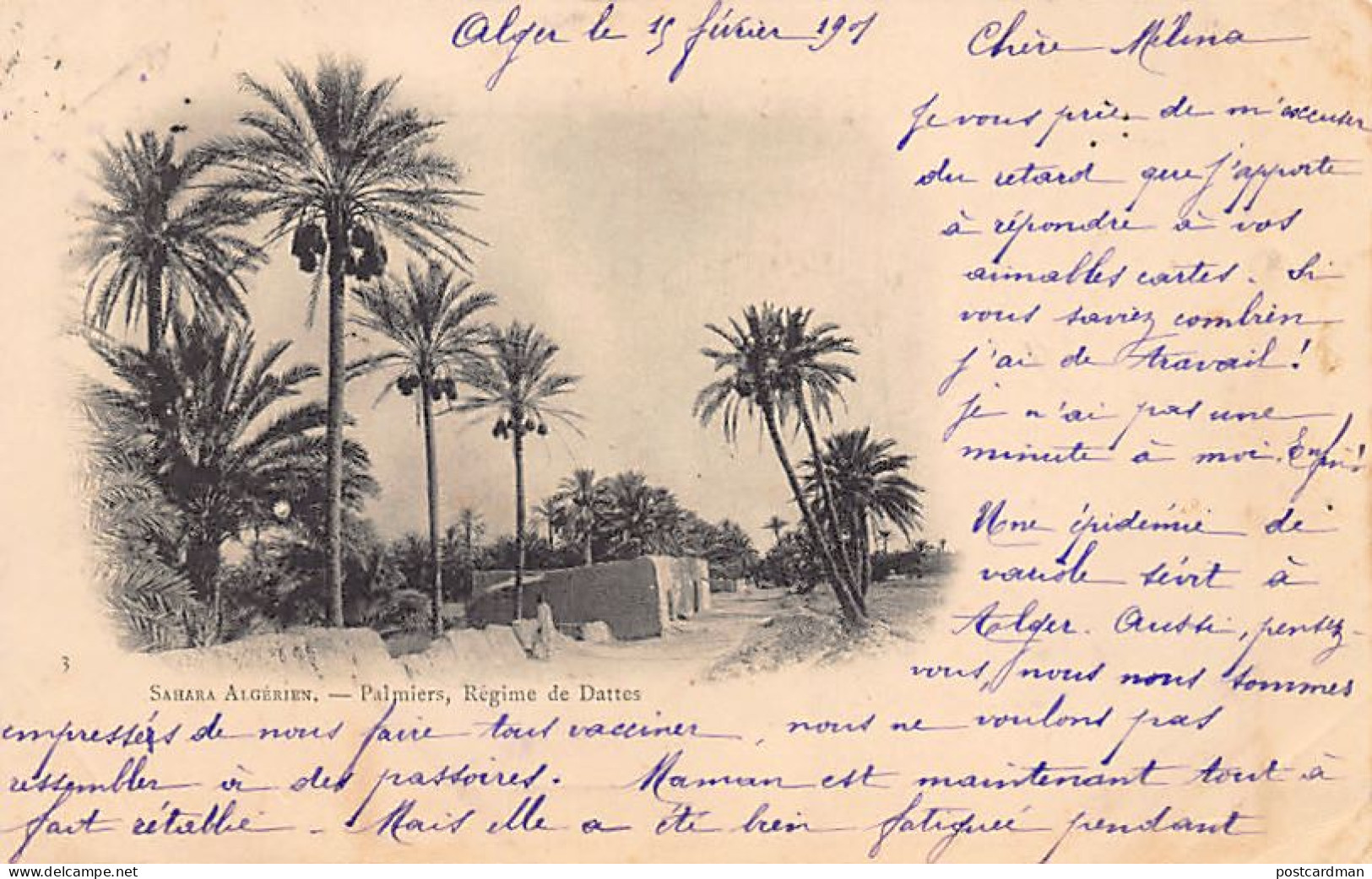 Algérie - CARTE PRÉCURSEUR Année 1901 - Sahara Algérien - Palmiers, Régime De Dattes - Ed. Inconnu 3 - Escenas & Tipos
