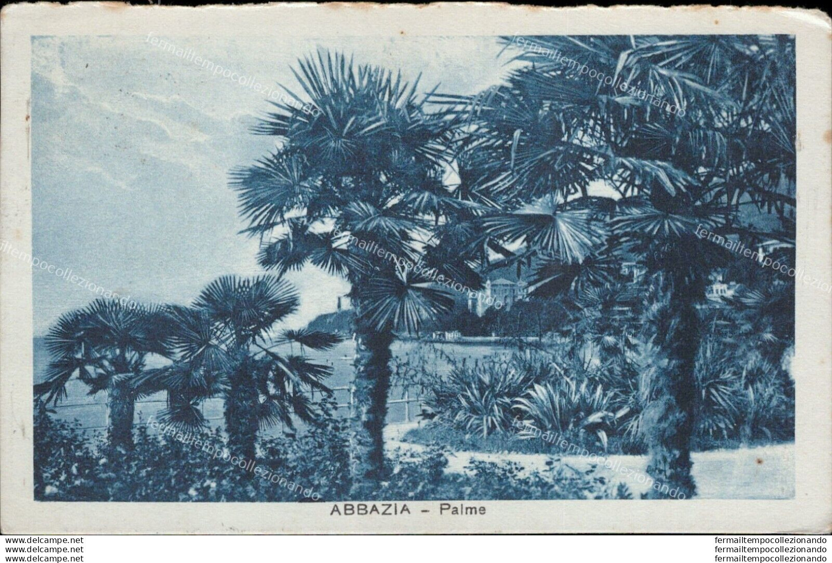 Ar191 Cartolina Abbazia Palme Croazia - Andere & Zonder Classificatie