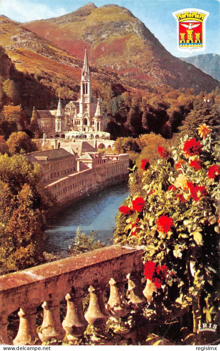 65-LOURDES-N°T2520-C/0035 - Lourdes