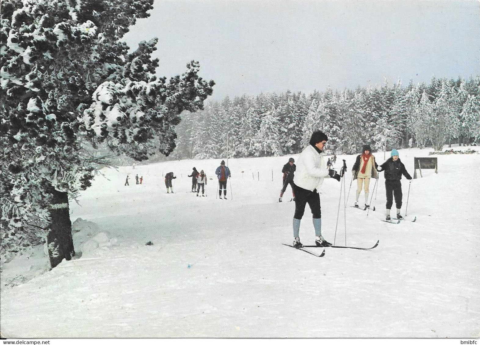 Le Ski De Fond - Wintersport