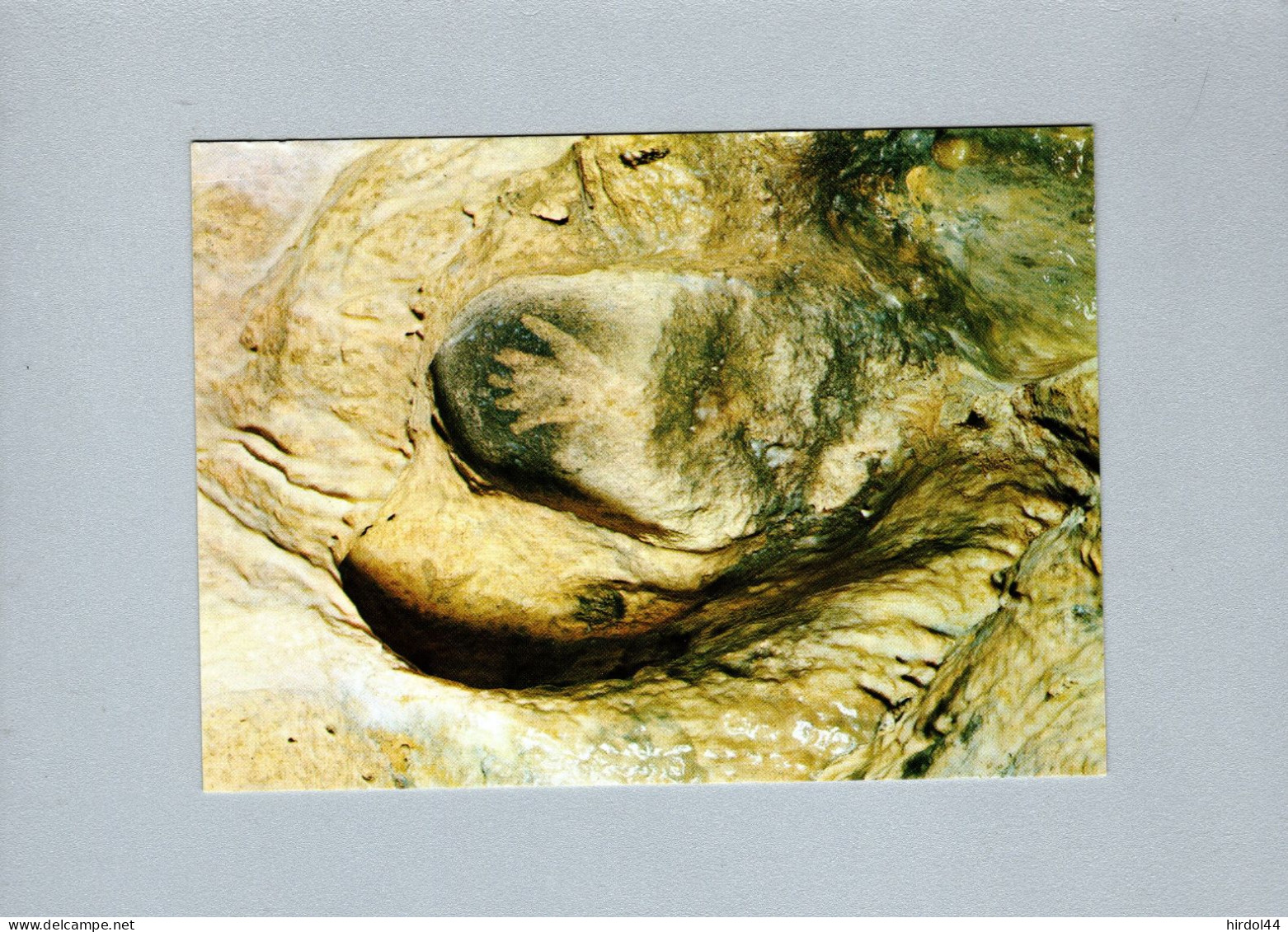 Histoire - Grotte De Gargas (65) - La Main à La Niche - Histoire