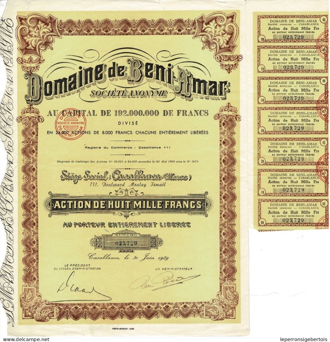Titre De 1959 - Domaine De Beni-Amar - Société Anonyme - Déco - Maroc - Afrique