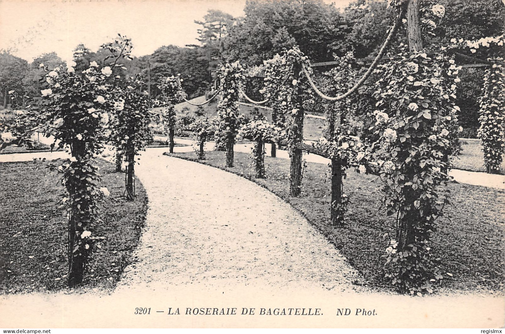 75-PARIS BOIS DE BOULOGNE LA ROSERAIE DE BAGATELLE-N°T2525-E/0057 - Autres & Non Classés