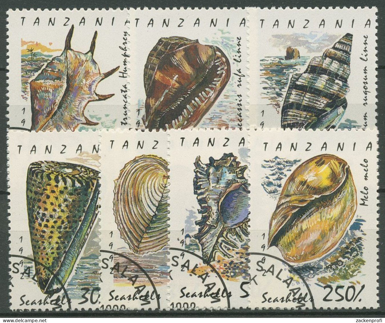Tansania 1992 Meeresschnecken Und Muscheln 1247/53 Gestempelt - Tansania (1964-...)
