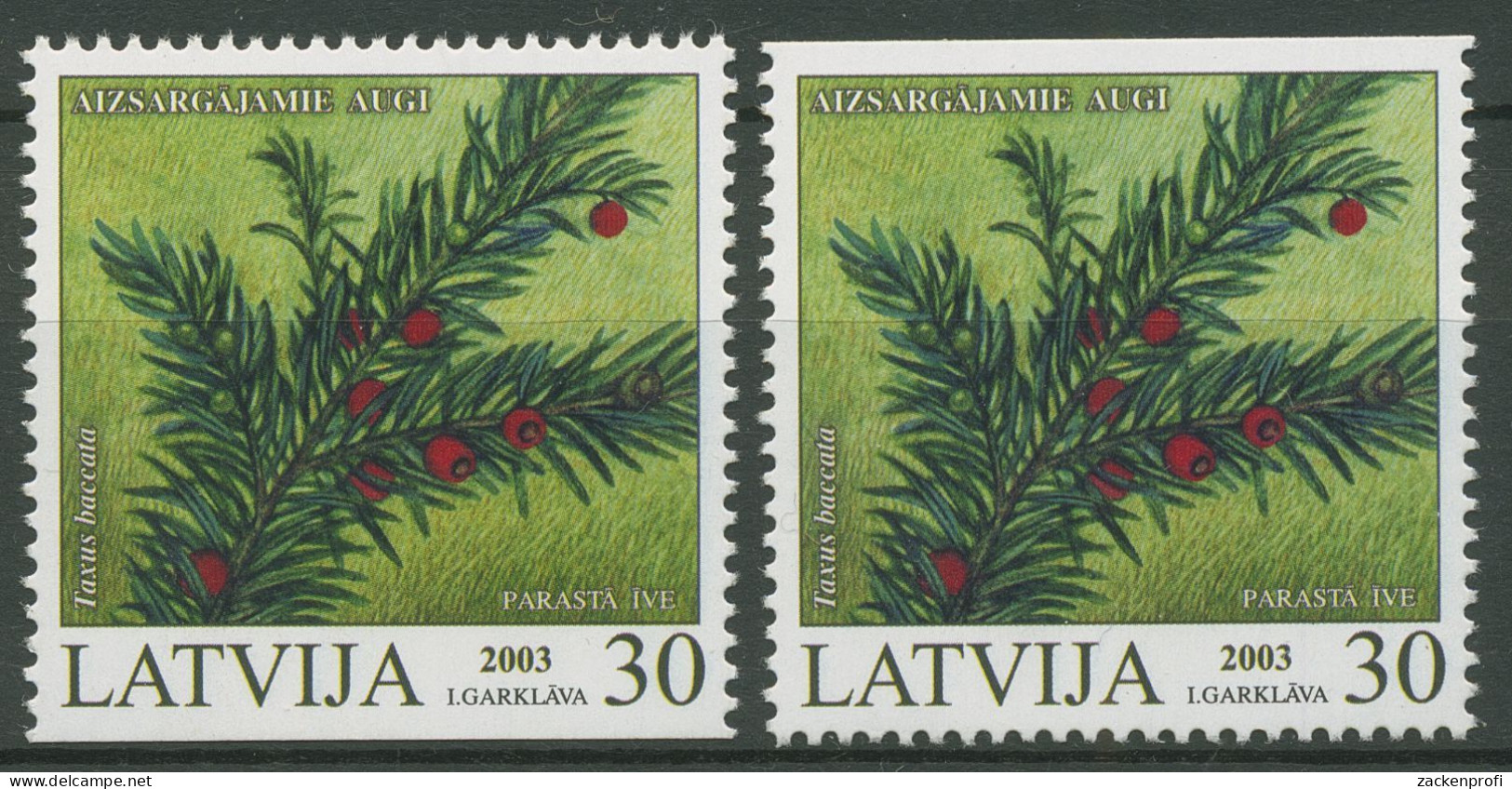 Lettland 2003 Geschützte Pflanzen Eibe 588 D/D Postfrisch - Lettonie