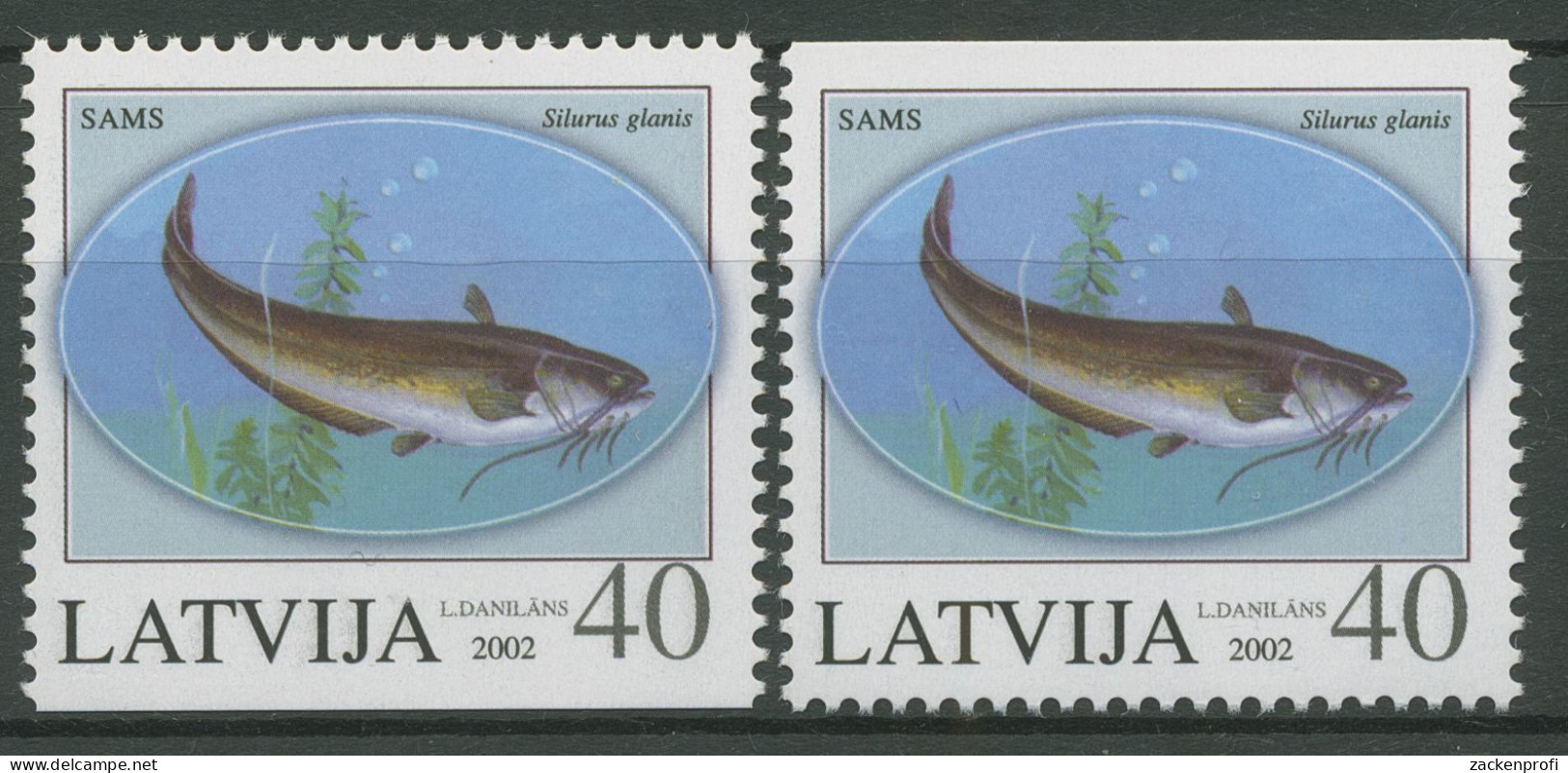 Lettland 2002 Tiere Fische Flusswels 575 D/D Postfrisch - Lettland