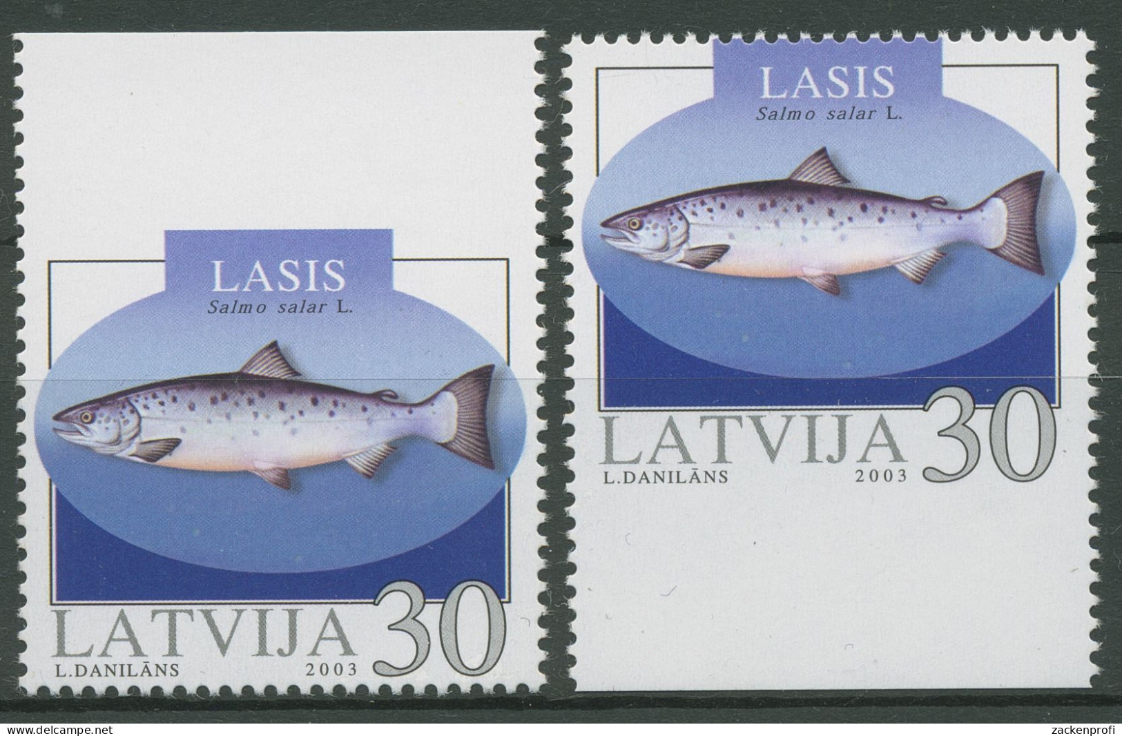Lettland 2003 Tiere Fische Atlantischer Lachs 595 D/D Postfrisch - Lettonie