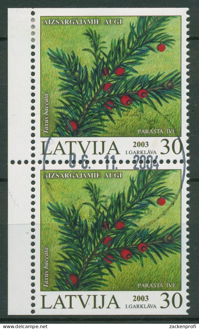 Lettland 2003 Geschützte Pflanzen Eibe 588 D/D Gestempelt - Lettland