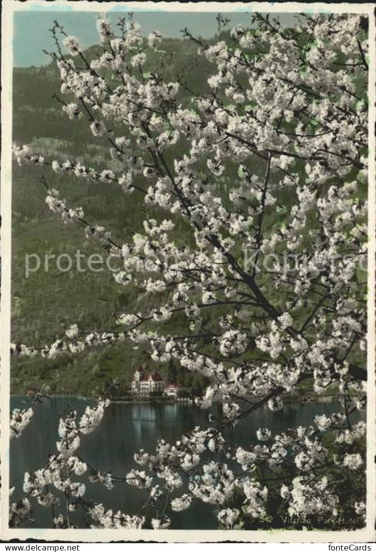 11640570 Vitznau Park-Hotel Vitznau - Autres & Non Classés