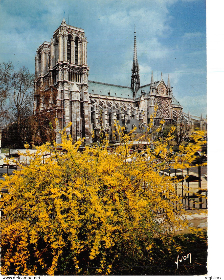 75-PARIS NOTRE DAME-N°T2529-A/0089 - Notre Dame De Paris