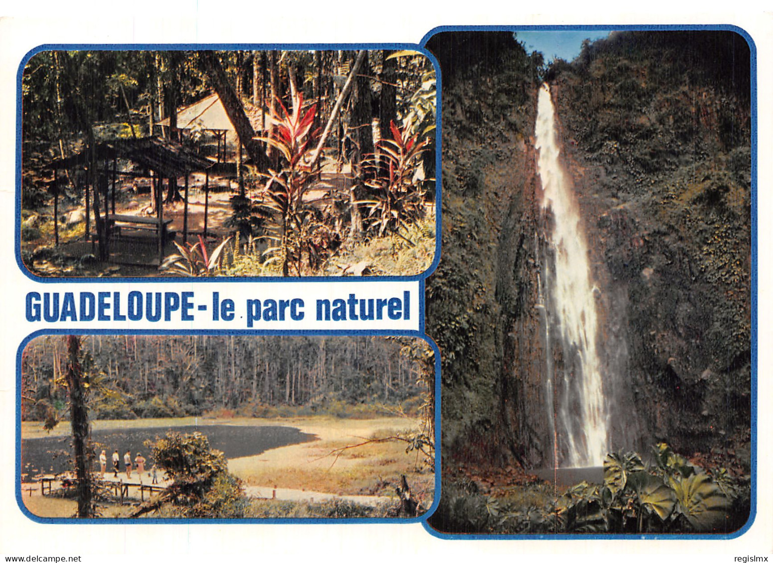 971-GUADELOUPE LE PARC NATUREL-N°T2529-C/0217 - Other & Unclassified