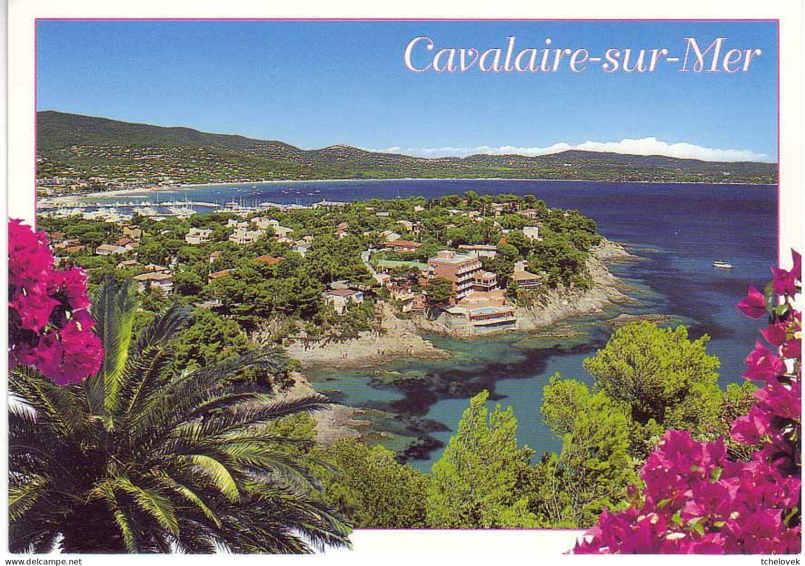 (83). Cavalaire. 4 Vues 1986 & 83240.38 & 8.497 & Le Port 8303600112 - Cavalaire-sur-Mer