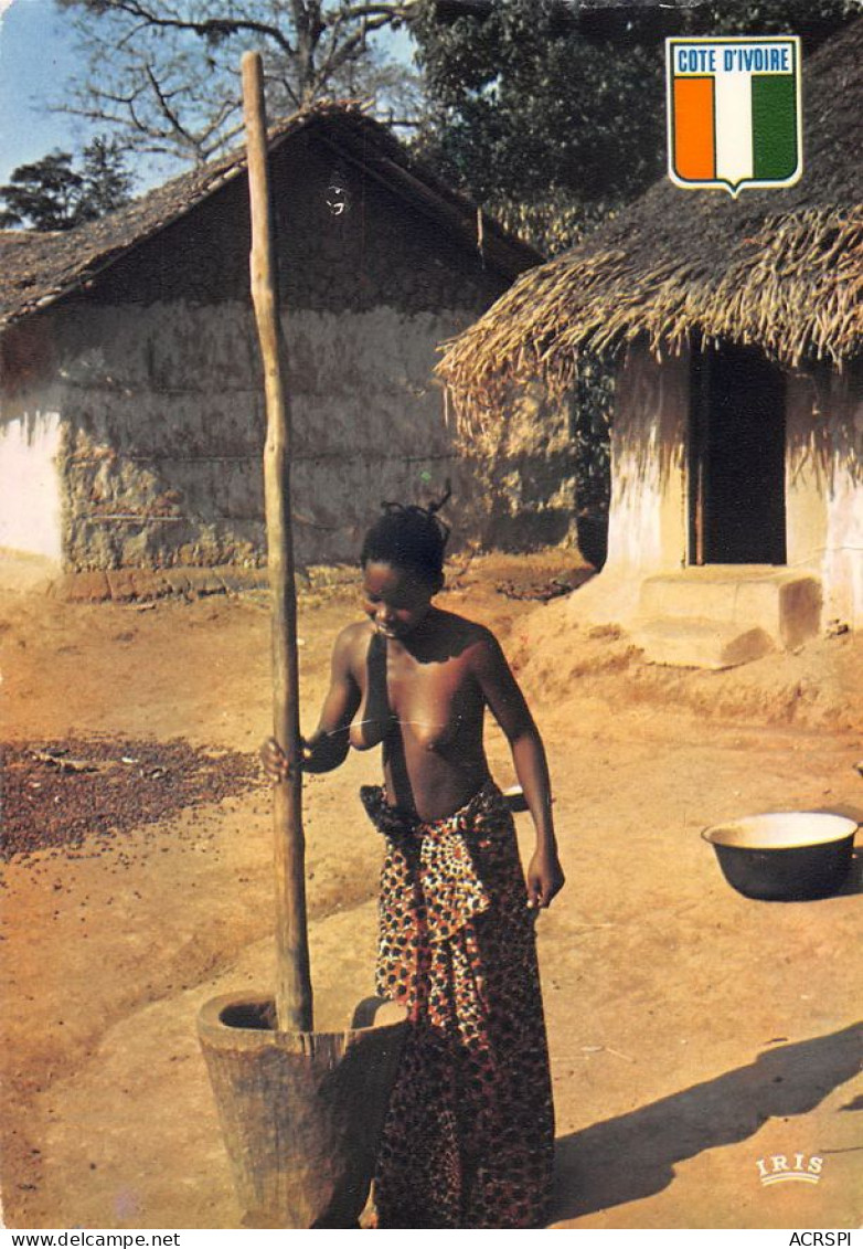 COTE-D'IVOIRE Pileuse Au Village   (Scan R/V) N° 67 \MT9114 - Ivory Coast