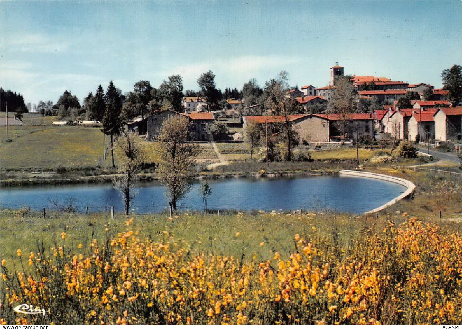 63  Fournols D'Auvergne Coté Sud Et Plan D'eau  (Scan R/V) N°   30   \MT9113 - Ambert