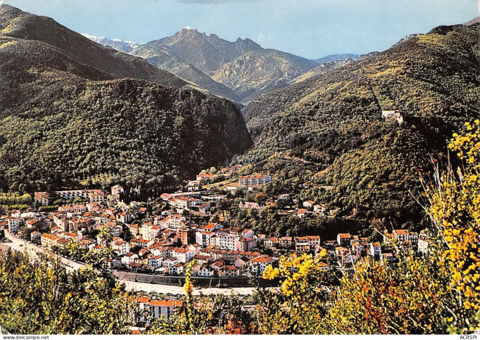 66 Amélie-les-Bains-Palalda   Vue Générale Collection L'échoppe  (Scan R/V) N°   36   \MT9125 - Ceret