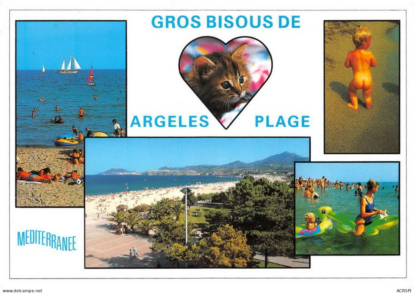 66 Argelès-sur-Mer  Gros Bisous  (Scan R/V) N°   21   \MT9124 - Argeles Sur Mer