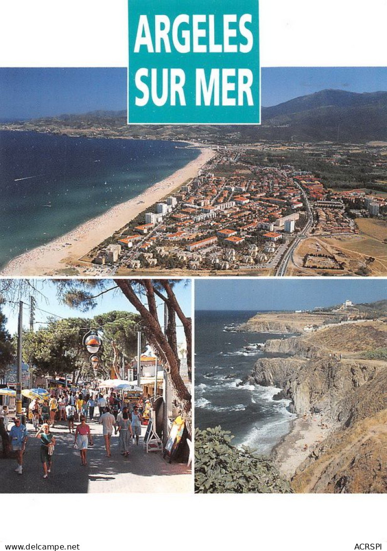 66  Argelès-sur-Mer  Rue Pietonne Et Criques   (Scan R/V) N°   37   \MT9123 - Argeles Sur Mer