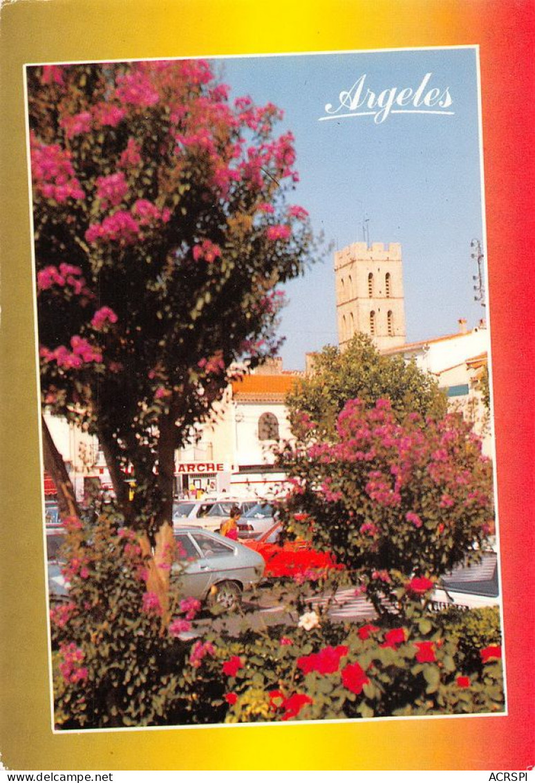 66  Argelès-sur-Mer  Place Du Marché   (Scan R/V) N°   35   \MT9123 - Argeles Sur Mer