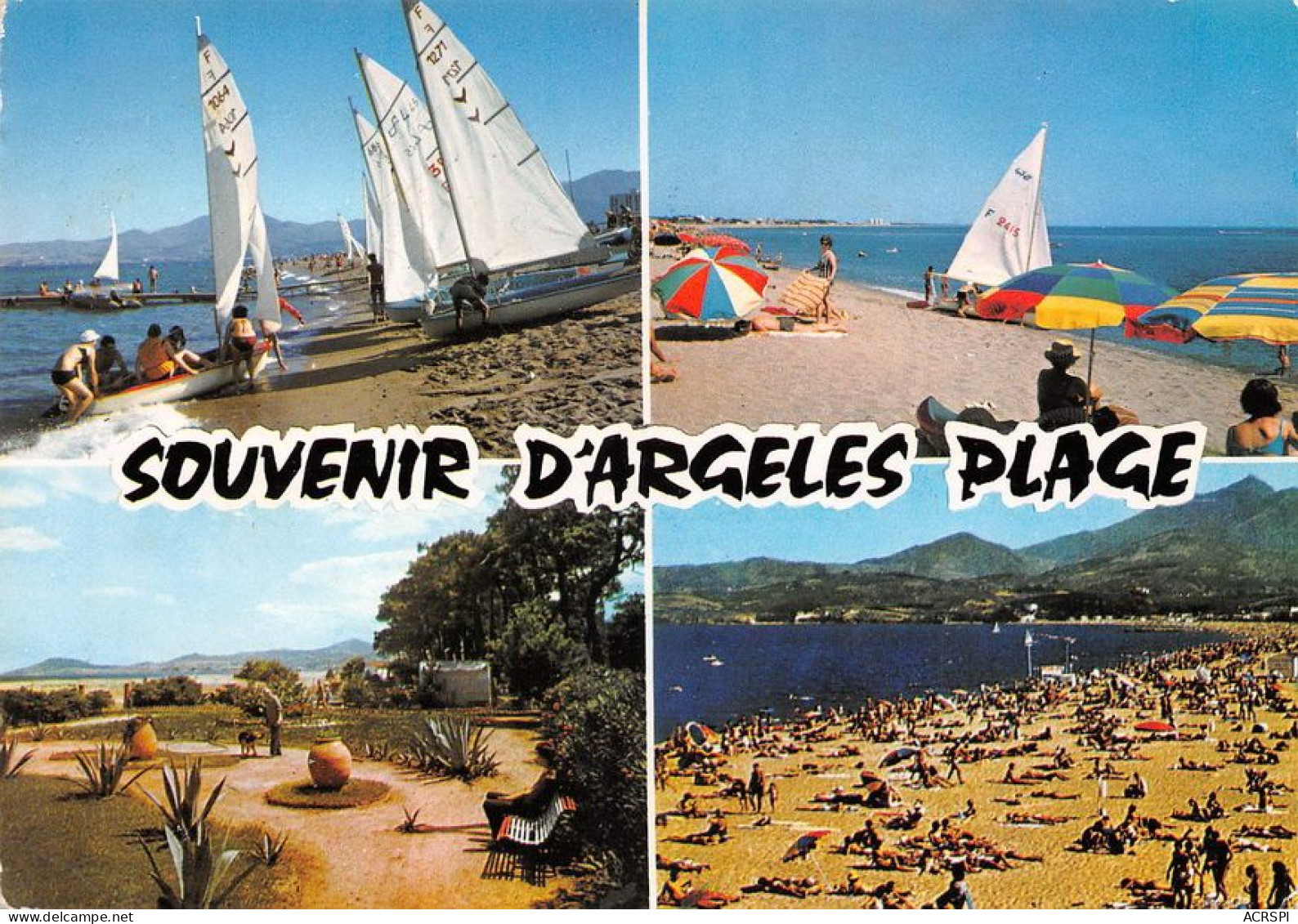 66  Argelès-sur-Mer  Multivue   Souvenir  (Scan R/V) N°   50   \MT9123 - Argeles Sur Mer