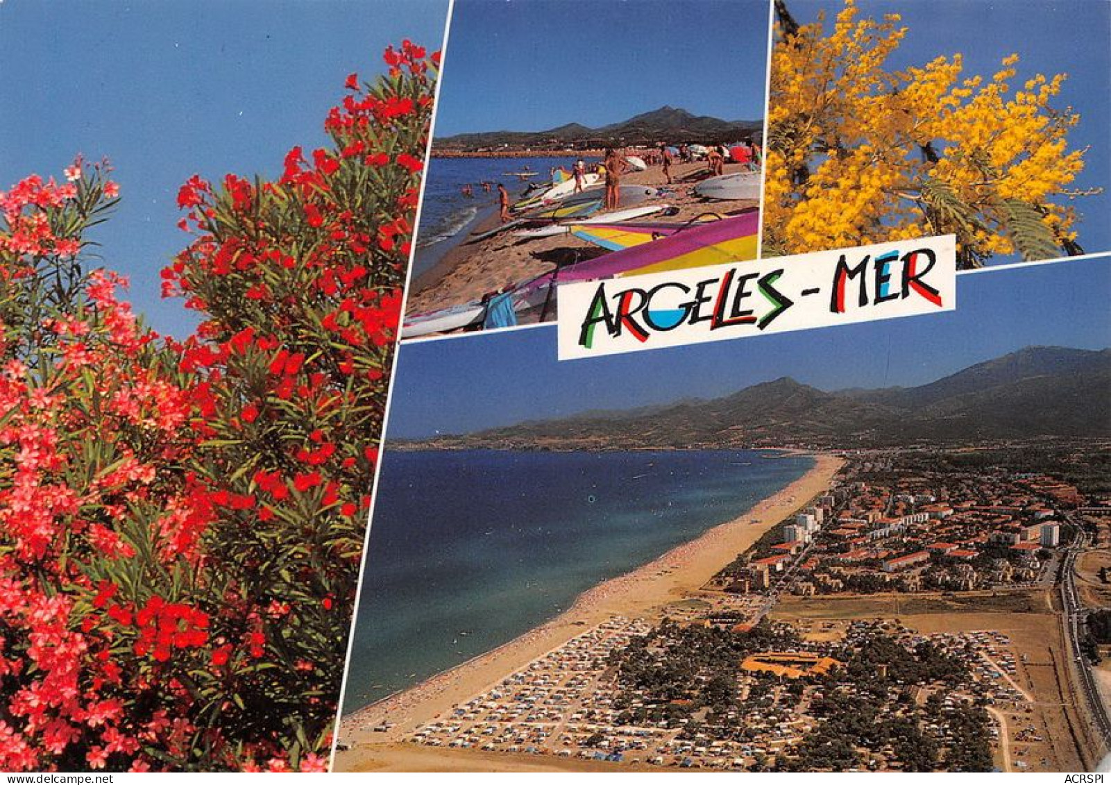 66  Argelès-sur-Mer  La Plage Vue Panoramique  (Scan R/V) N°   46   \MT9123 - Argeles Sur Mer