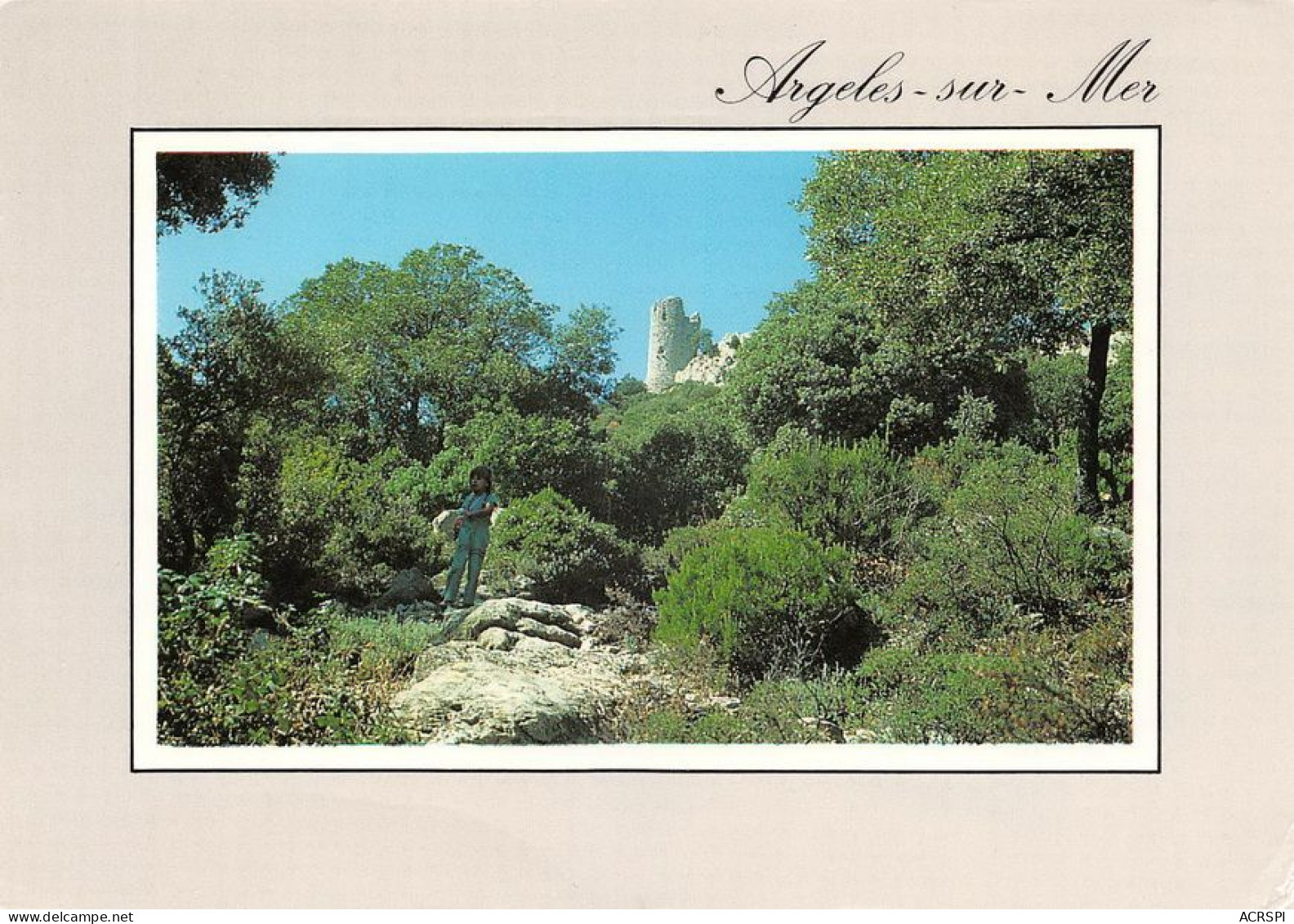 66  Argelès-sur-Mer  La Tour De La Massanne   (Scan R/V) N°   34   \MT9123 - Argeles Sur Mer