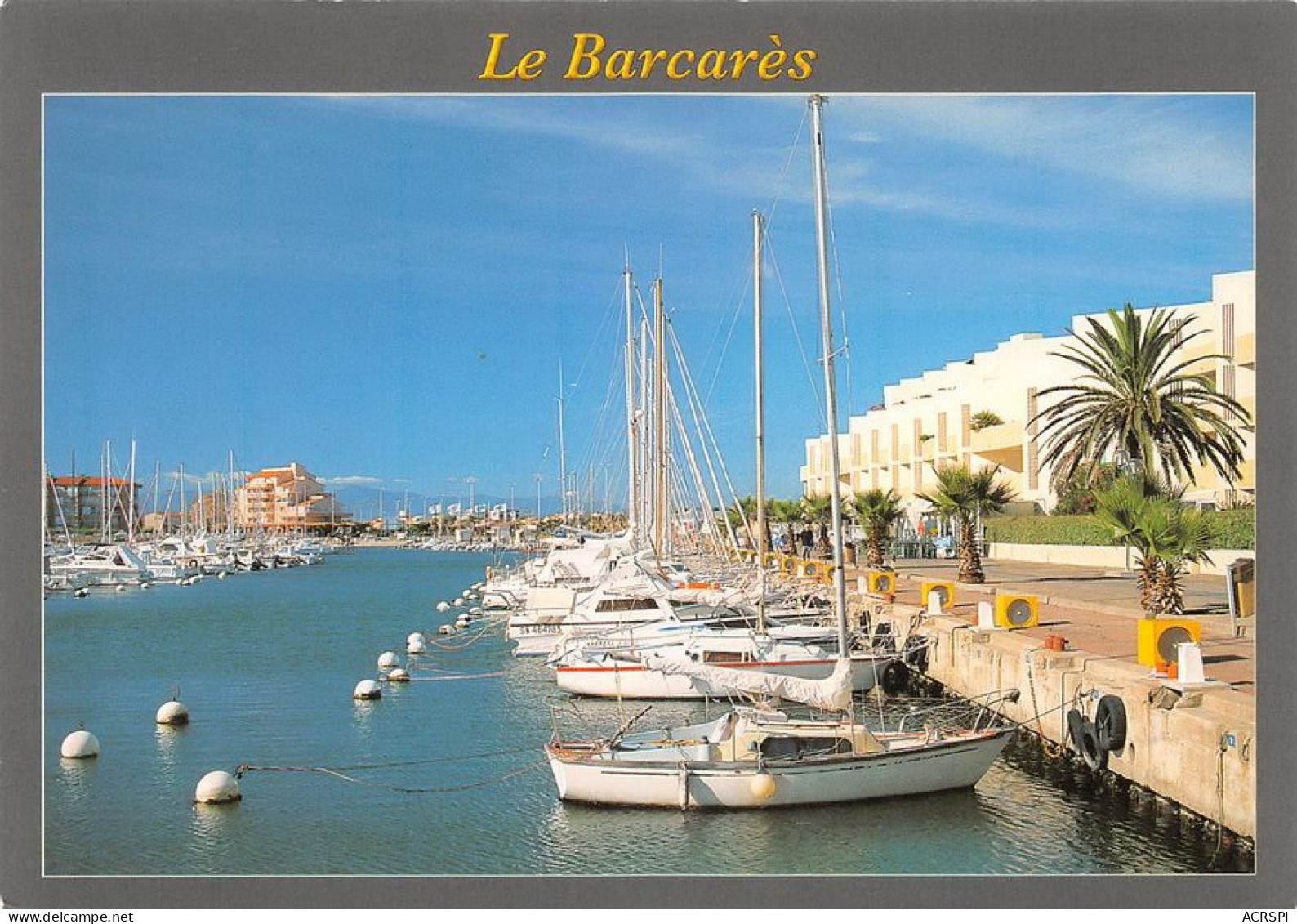 66 Le Port Barcarès  Le Quai Bordé De Palmiers            (Scan R/V) N°   6   \MT9121 - Port Barcares
