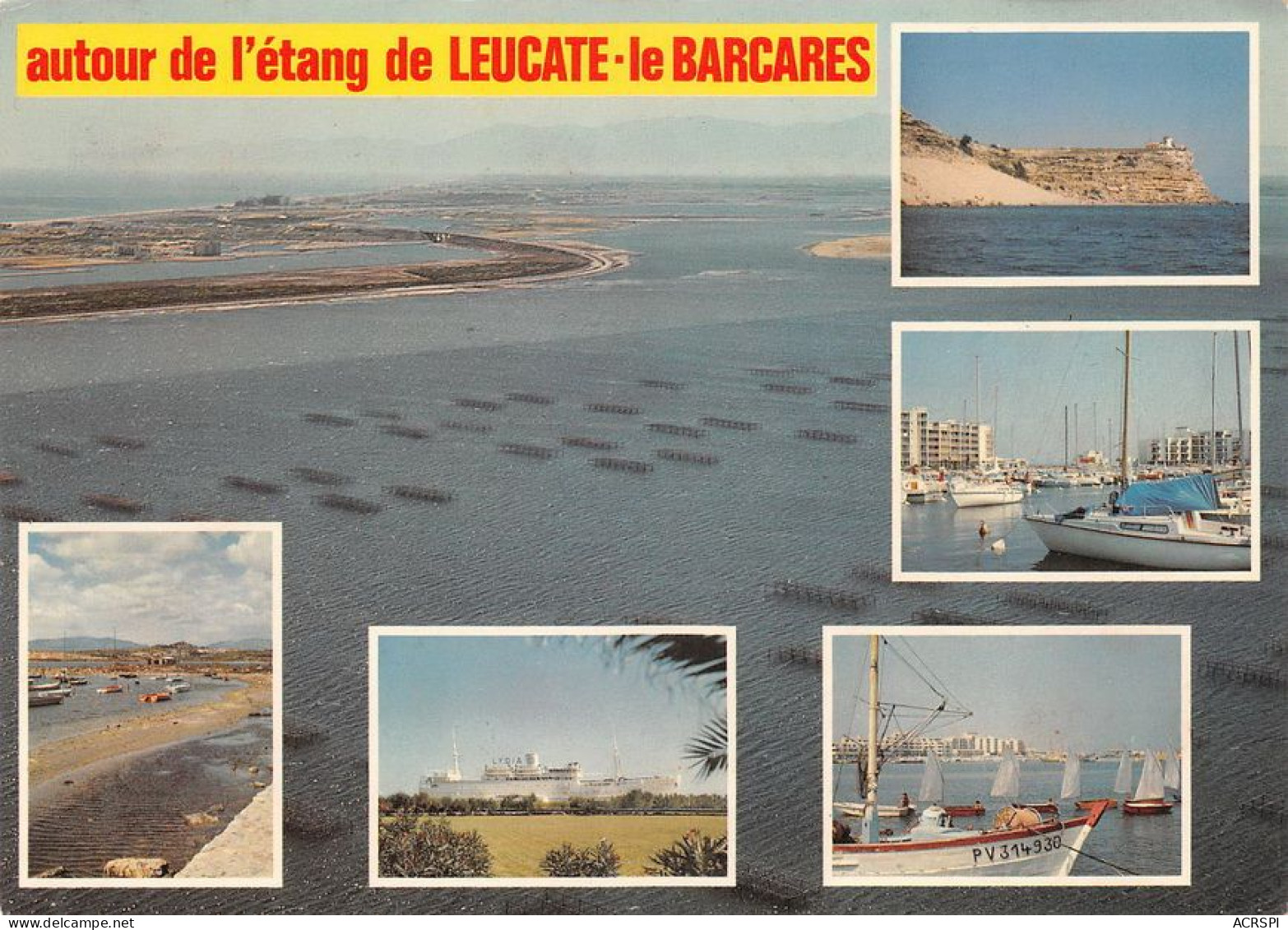 66 Le Port Barcarès   Autour De L'étang De LEUCATE  (Scan R/V) N°   31   \MT9121 - Port Barcares