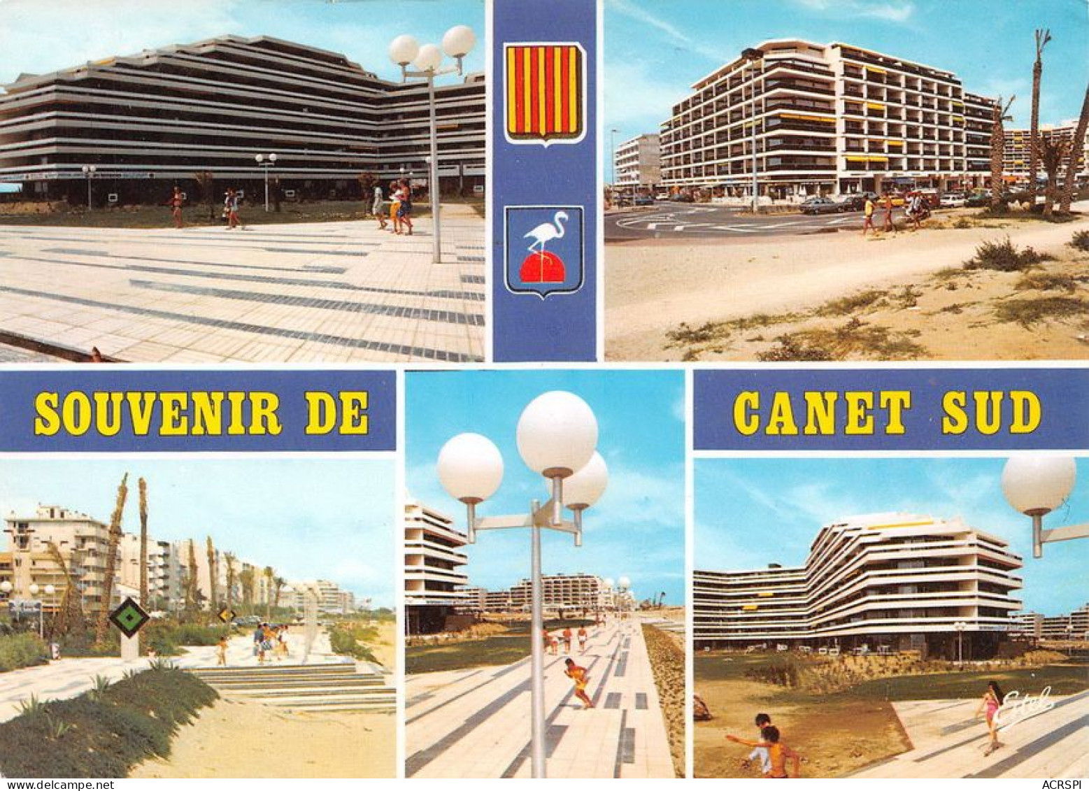 66  CANET PLAGE En Rousillon  Souvenir De Canet SUD  (Scan R/V) N°   49   \MT9119 - Canet En Roussillon