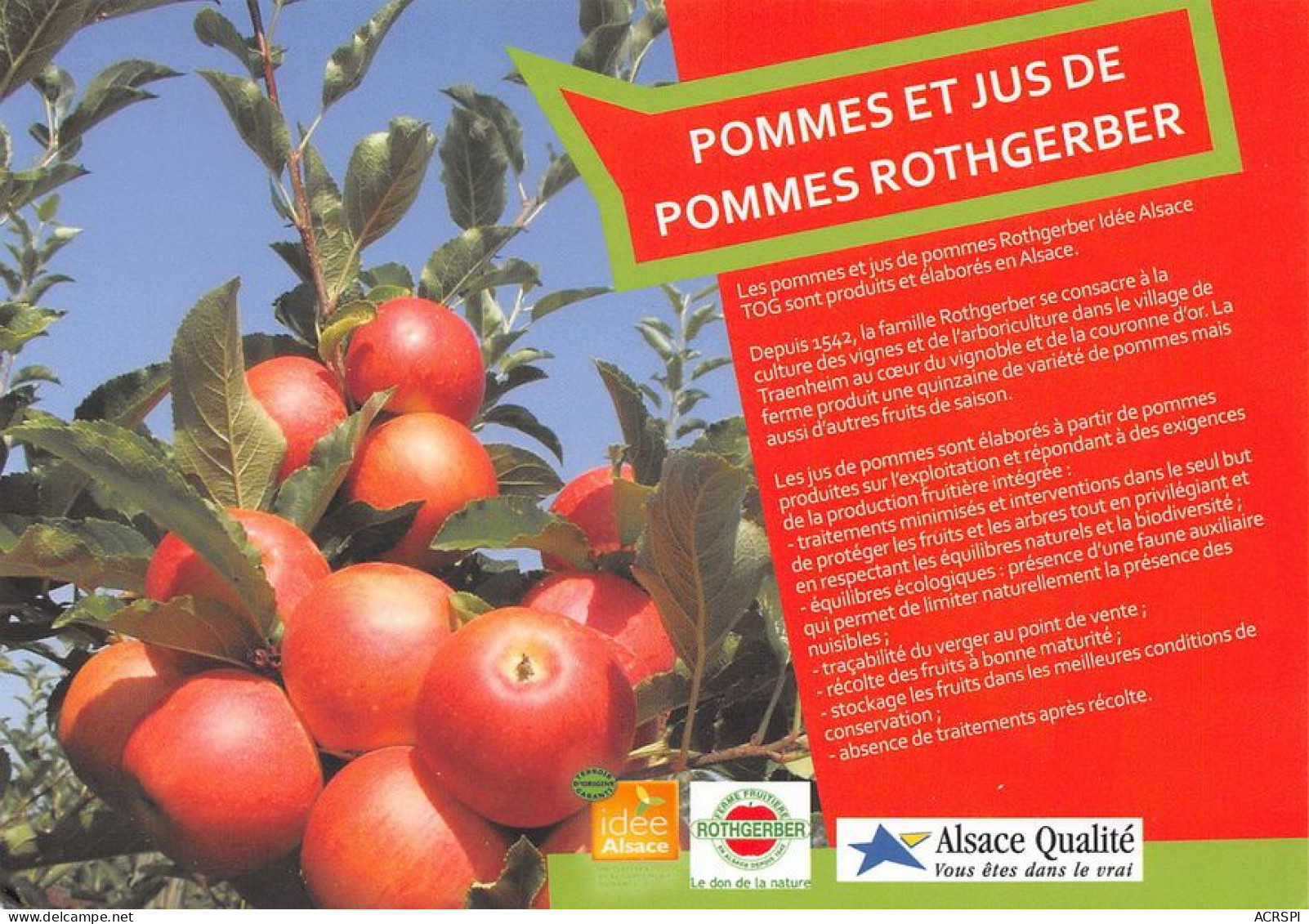 67 Ferme Rothgerber - Ferme De Traenheim Jus De Pommes  N° 16  \MT9117 - Obernai