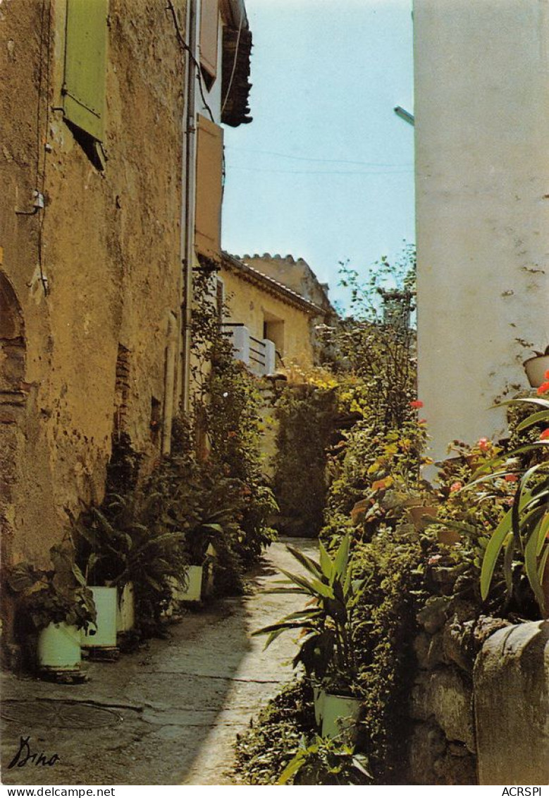 66  Laroque-des-Albères La Rue De La Tour   (Scan R/V) N°   50   \MT9132 - Argeles Sur Mer