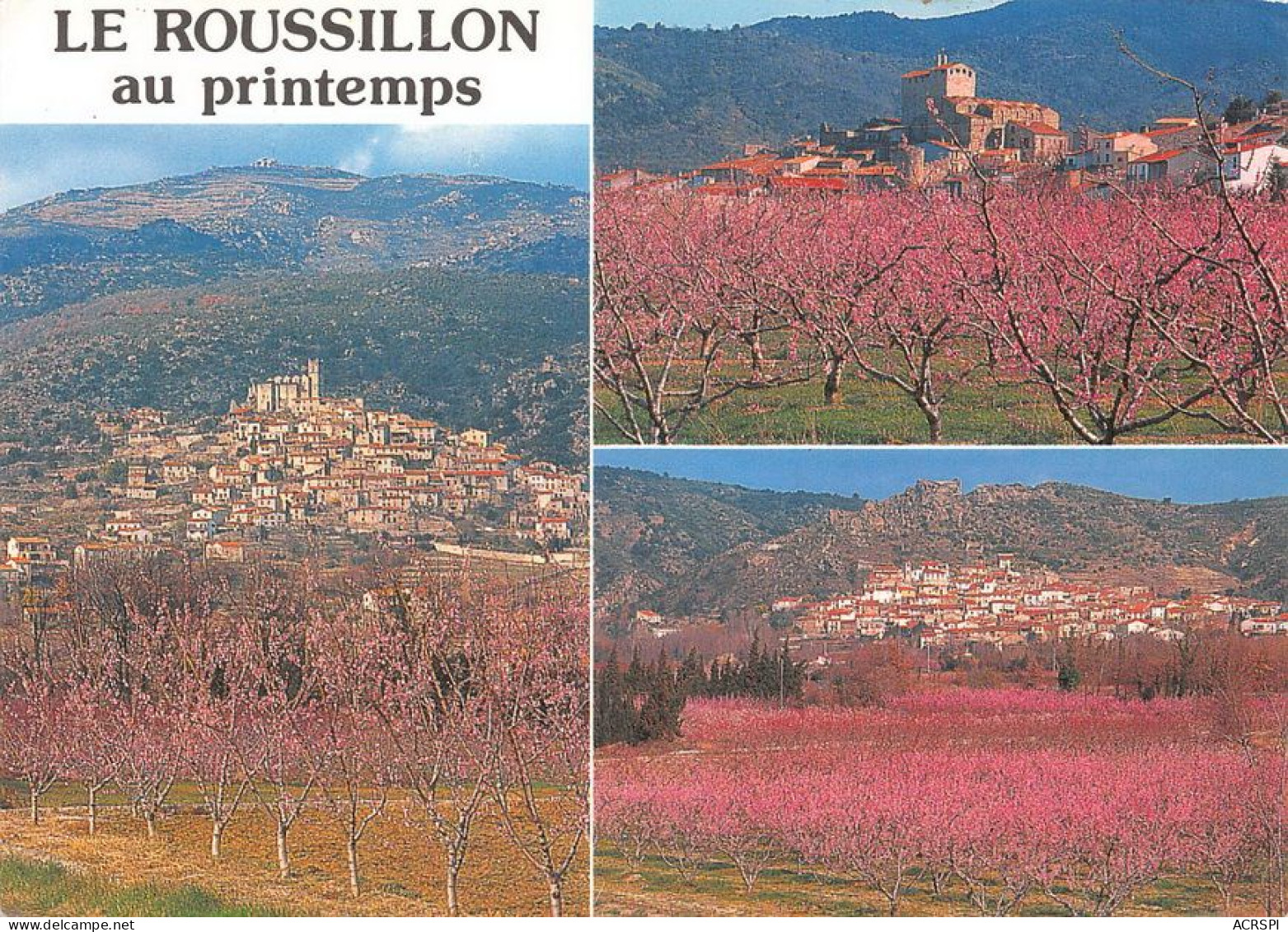 66  Eus Village Bouleternère  Rodes (scan R/V) N°   49   \MT9131 - Prades