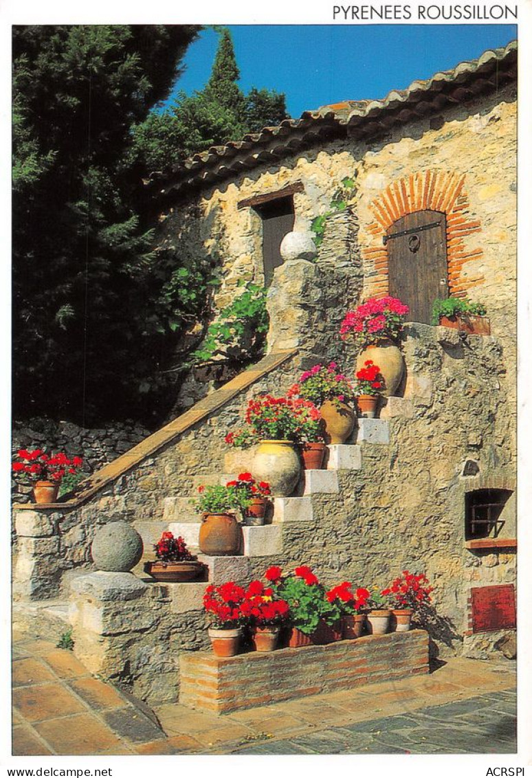 66  CASTELNOU  Vieille Maison Du Village  Médiéval (Scan R/V) N°   17   \MT9131 - Perpignan