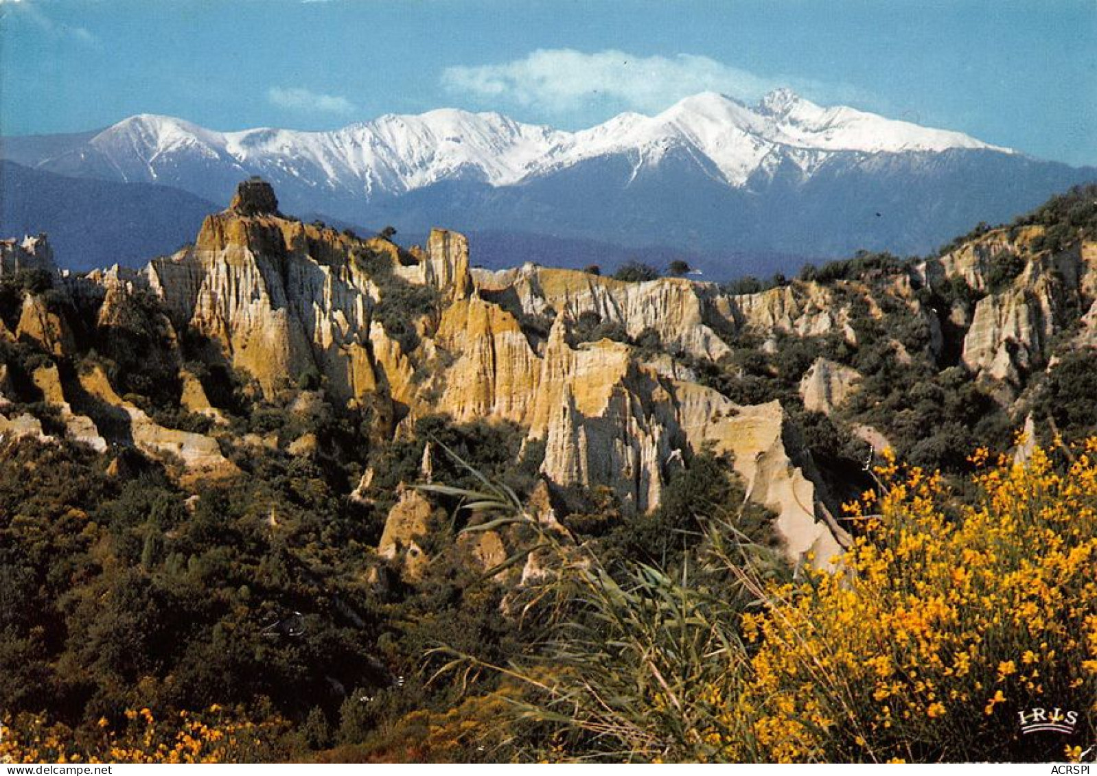 66 Prades Le PIC Du CANIGOU à  Ille-sur-Têt (Scan R/V) N°   11   \MT9130 - Prades