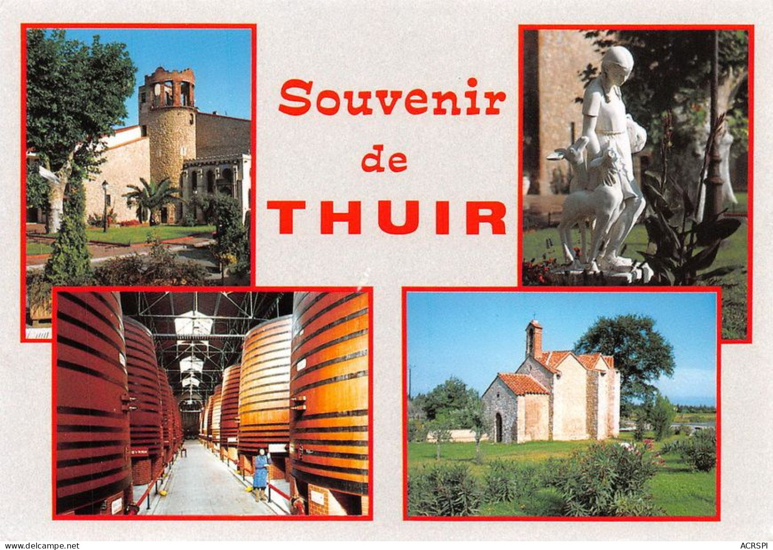 66 Thuir Souvenir (Scan R/V) N°   43   \MT9129 - Perpignan